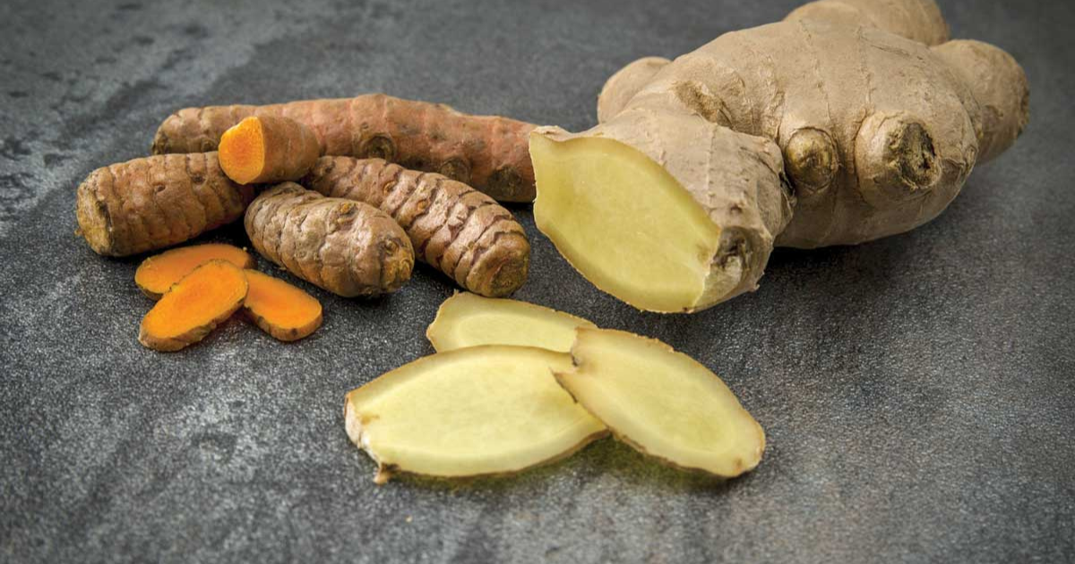 what-s-the-difference-between-ginger-and-turmeric