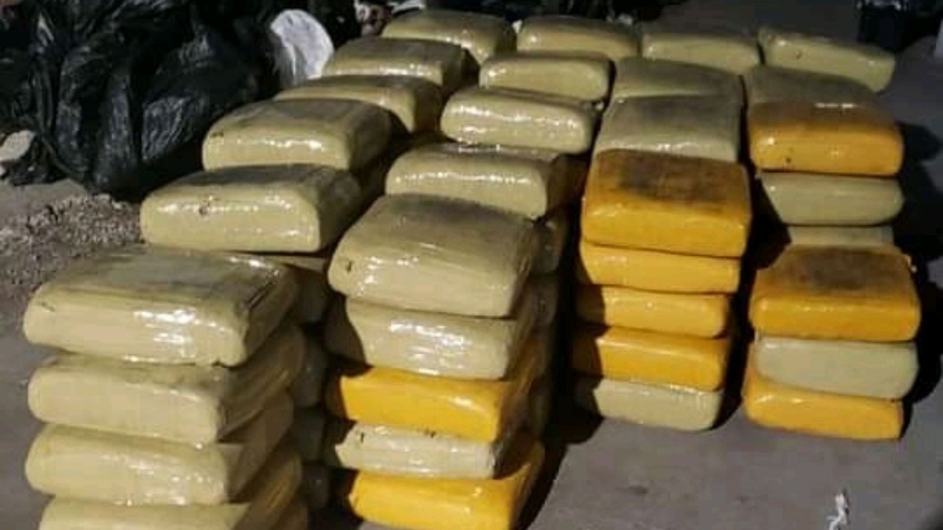 narcotics-police-lands-multimillion-dollar-drug-bust