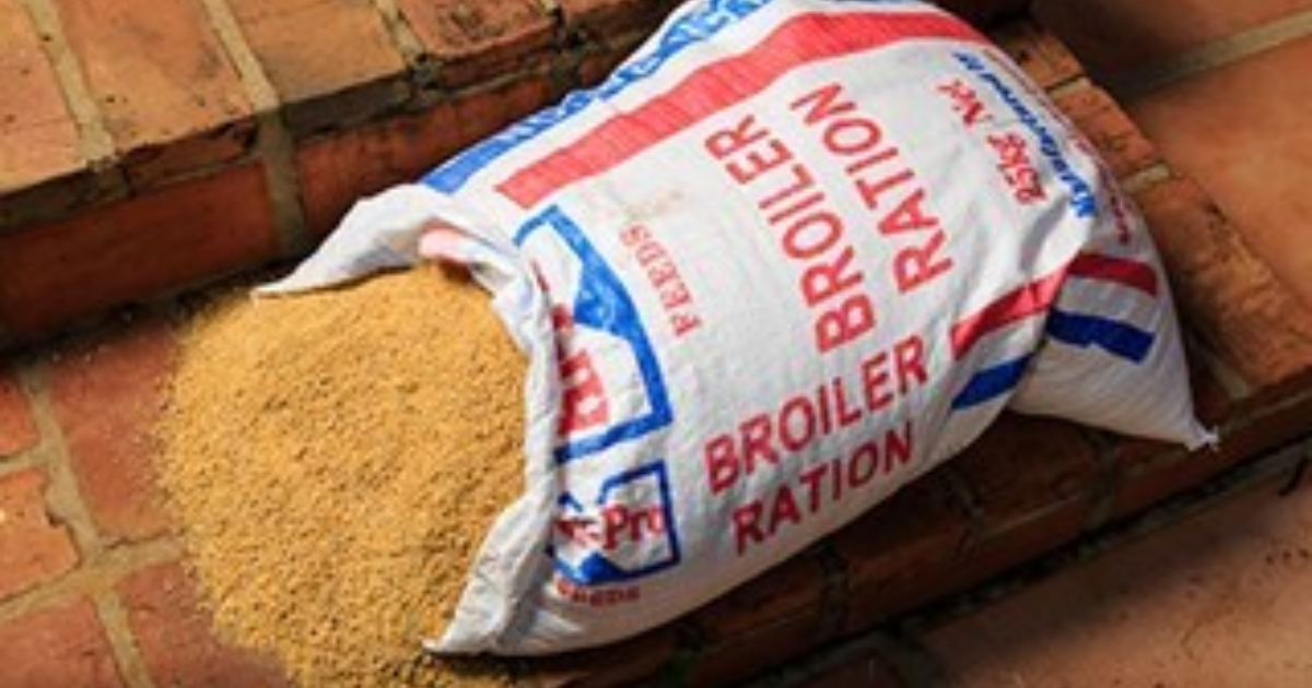 Feed producers posits to increase production